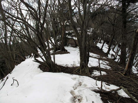 20170113hike (360)